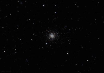 NGC1261