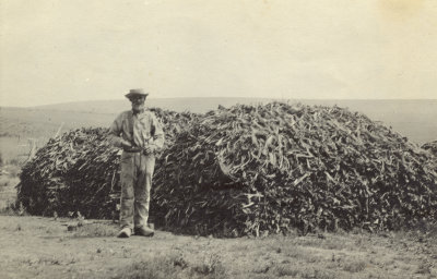 Behrend Thiemens with sagebrush firewood