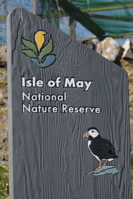 Isle of May April 2015