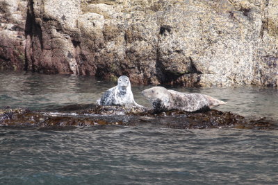 g9/70/406470/3/159851950.1OSeGyR9.jpg