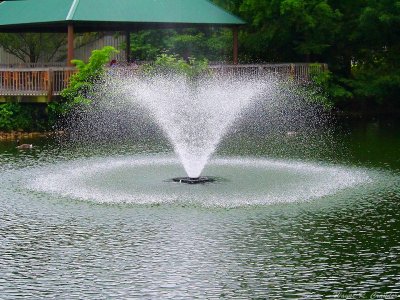 Louisville Zoo May 2013 12.jpg