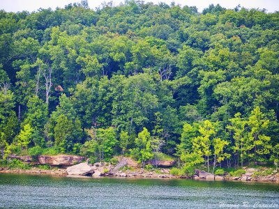 Rough River 7-13 04.jpg