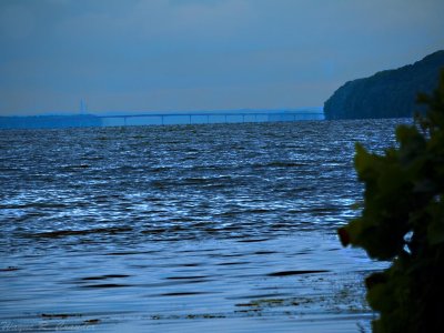 Tennessee River Alabama 8-13 08.jpg