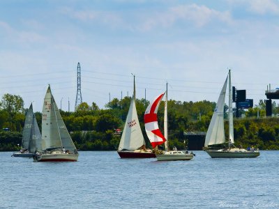 Ohio River 9-23 08.jpg