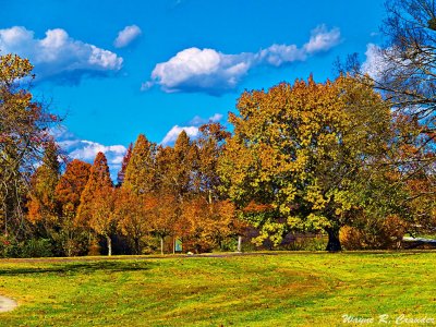 Bernheim Forest 11-2013 06.jpg