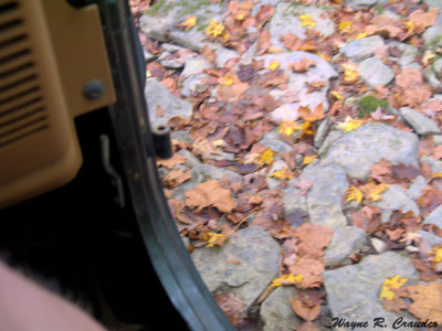 4wheelin 9-27 016.jpg