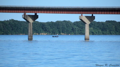 Tennessee River 02 6-15.jpg