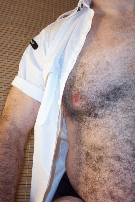 0gray hairychest grey blog.jpg