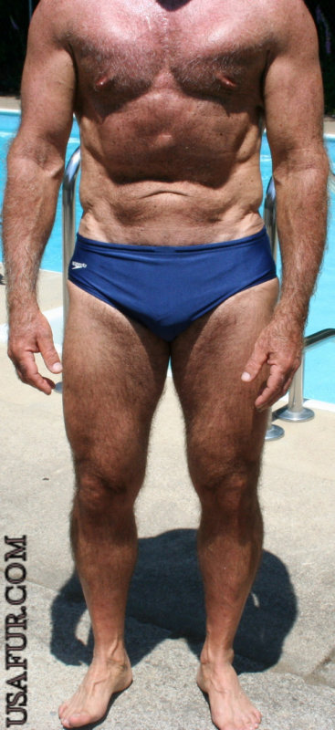 hairy hard older mans pecs.jpg