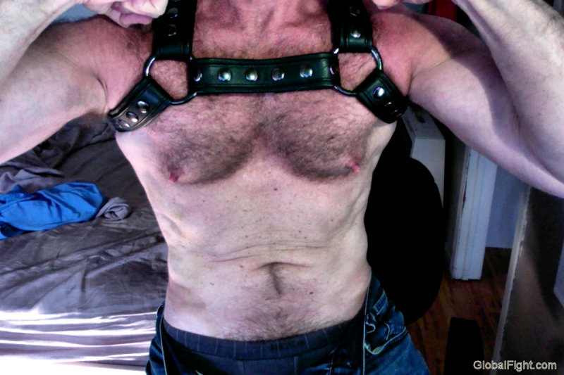 leather straps hairy cub.jpg