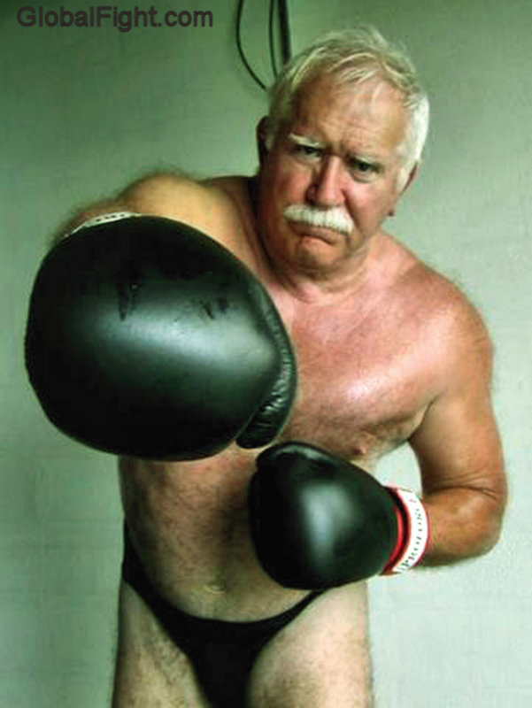 silverdaddy boxing hot bear.jpg