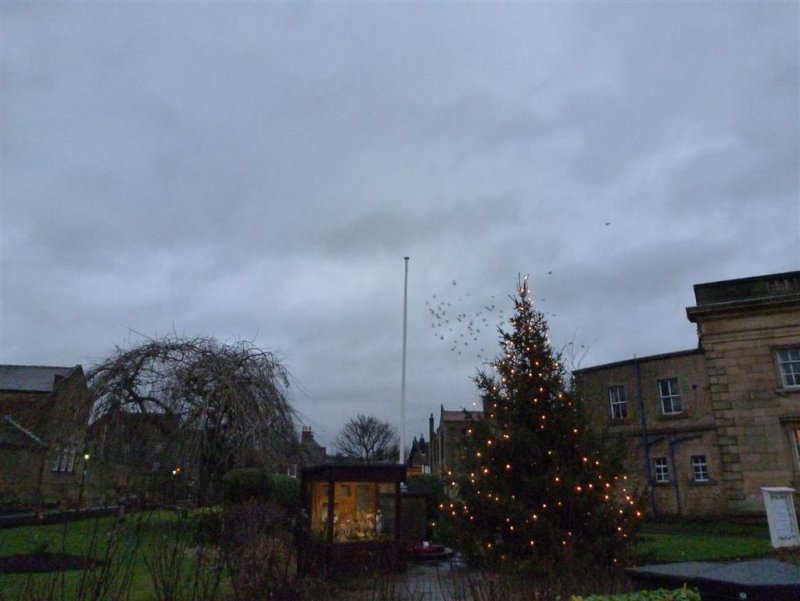 Christmas lights in Bakewell