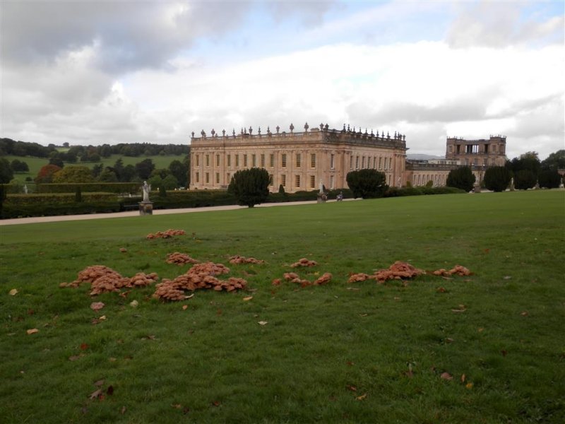 Chatsworth House