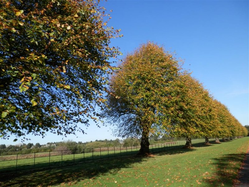 Speke Hall, Liverpool