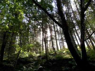 Cwm Wernderi, near Port Talbot - 18 Aug 2013