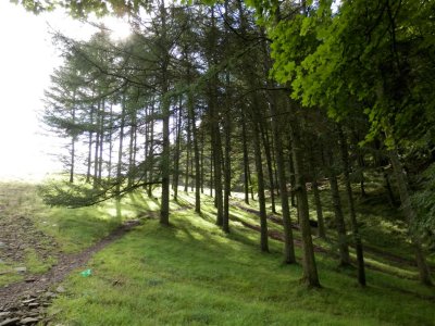 Climb up to the reservoir