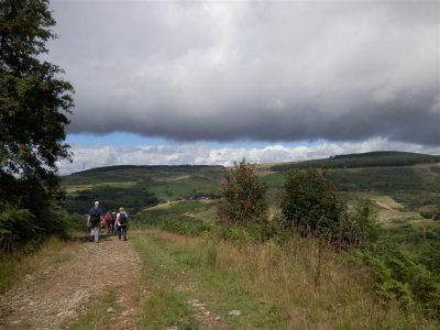 And down again towards Bryn