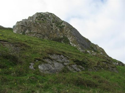 Cwm Ivy Tor was festooned with cowslips