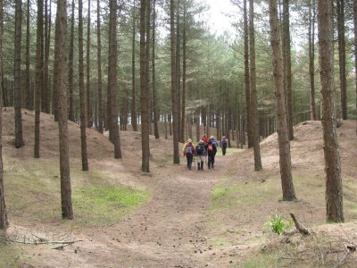 Whiteford Burrows