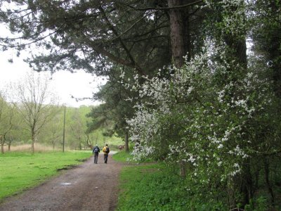 Heading back towards Cwm Ivy