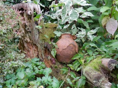 Tree stump toadstool scene