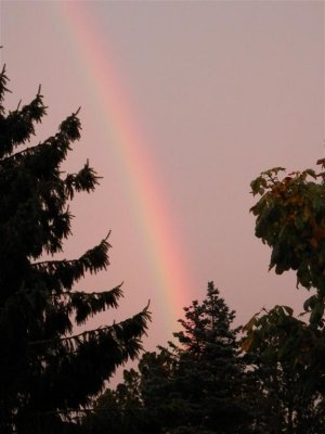 Rainbow from Hoyle Court