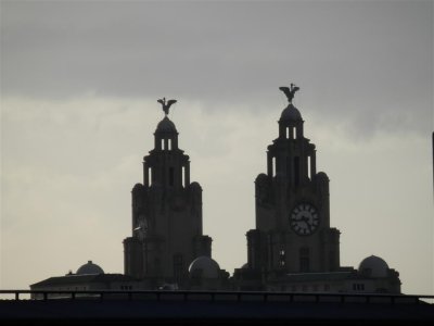 The Liver Building