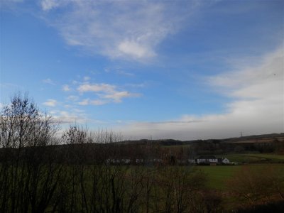 P2100348 Medium.JPG