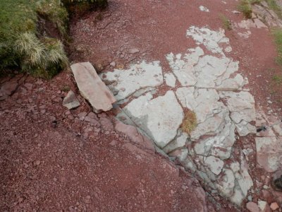 I liked the colours underfoot