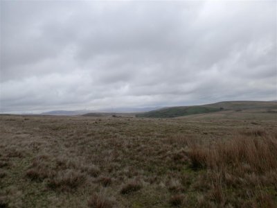 P4121258