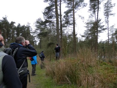 Birdspotting