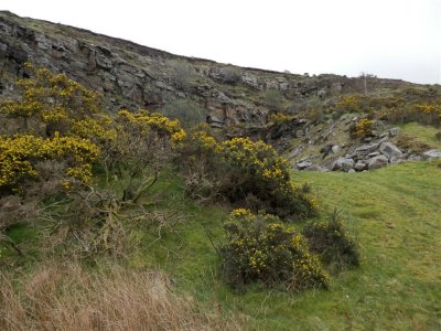 Outcrops with gorse