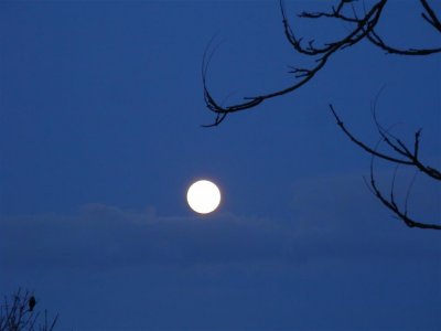 Swansea moon 14 April