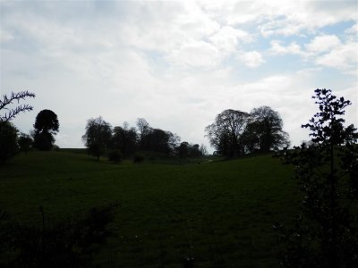 Calke Abbey parkland