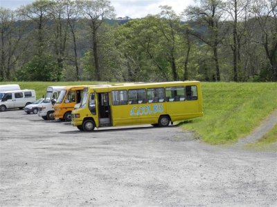 Cool school buses