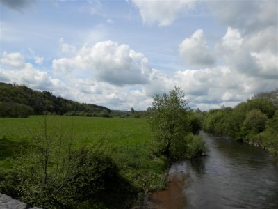 P5142250 