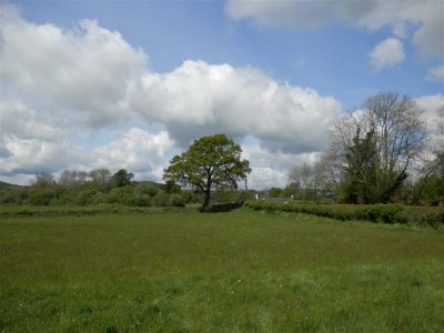 P5142252 