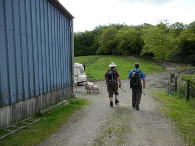 The sheep and lambs found us fascinating however!