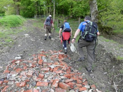 An interesting path, full of treasures, no doubt