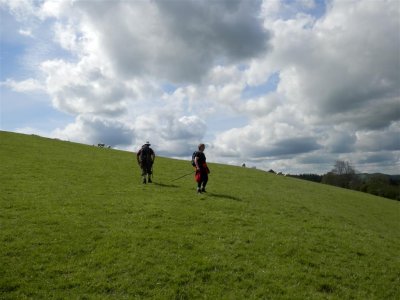 Taking in the view