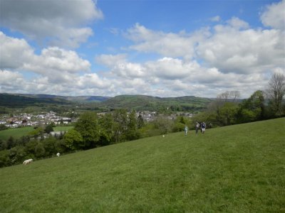 P5142269 