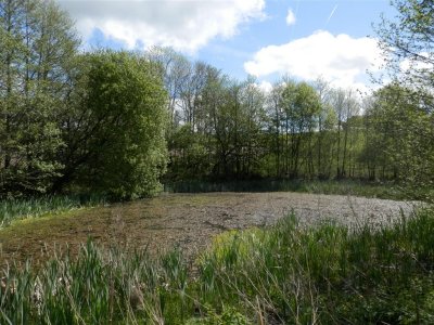 P5142281 