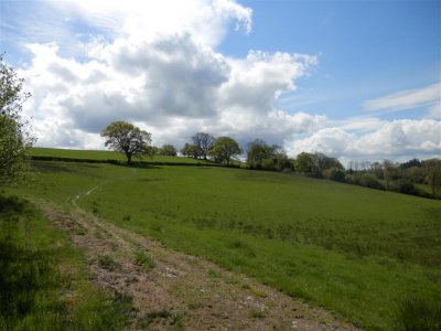 P5142282