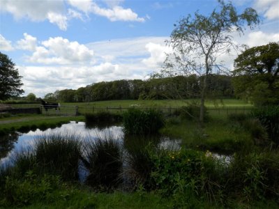 P5142319