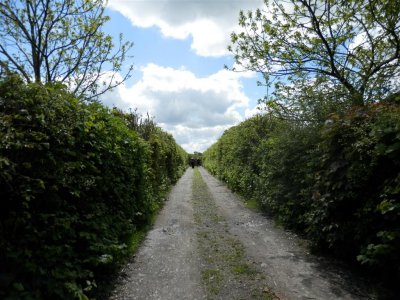 P5142324 