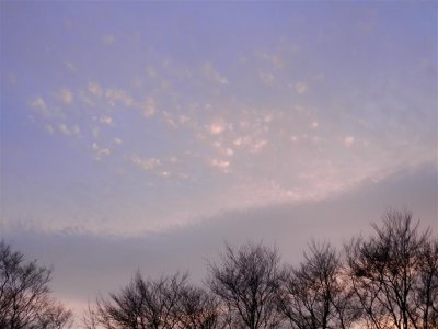 P4091201 (Medium).JPG