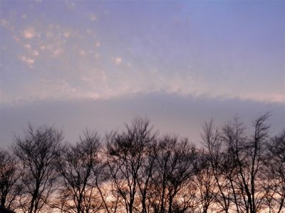 P4091204 (Medium).JPG