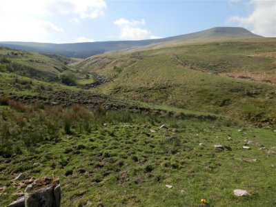 View of Fan Gyhirych from the Cray Reservoir car park