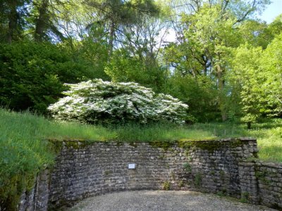 The spring at Chedworth Roman Villa