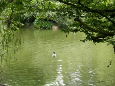 Hatherley Park